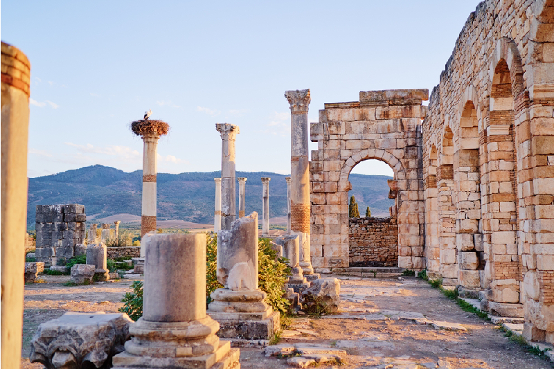 Volubilis Volubilis