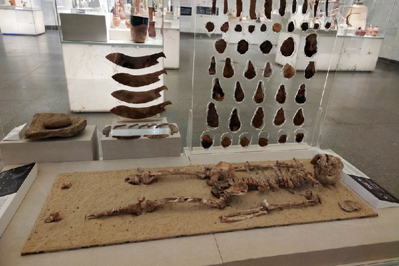 El Gran Museo Egipcio El Gran Museo Egipcio