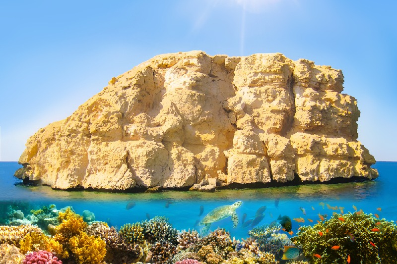 El Parque nacional de Ras Muhammed El Parque Nacional de Ras mohammed